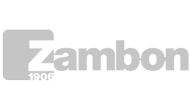 Zambon Construction services