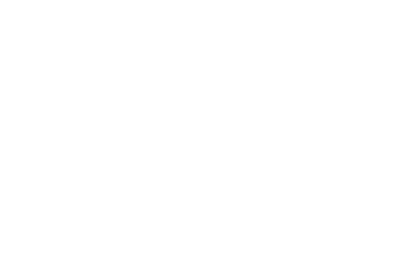 Ibis Hoteles